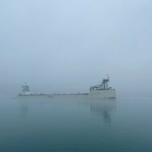 Meet your Posher, Logan